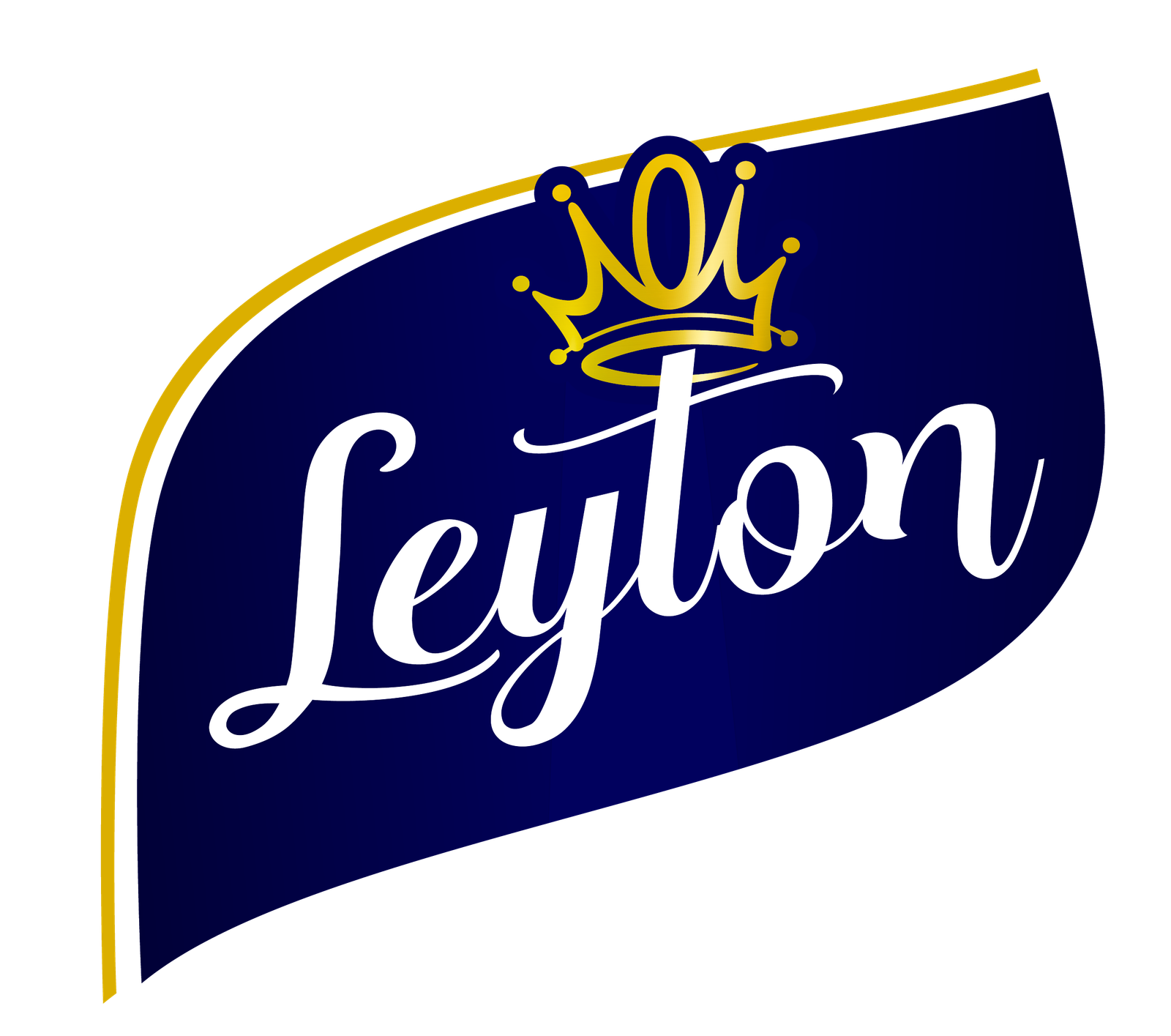 LOGO LEYTON 2021-1_240227_105201-01